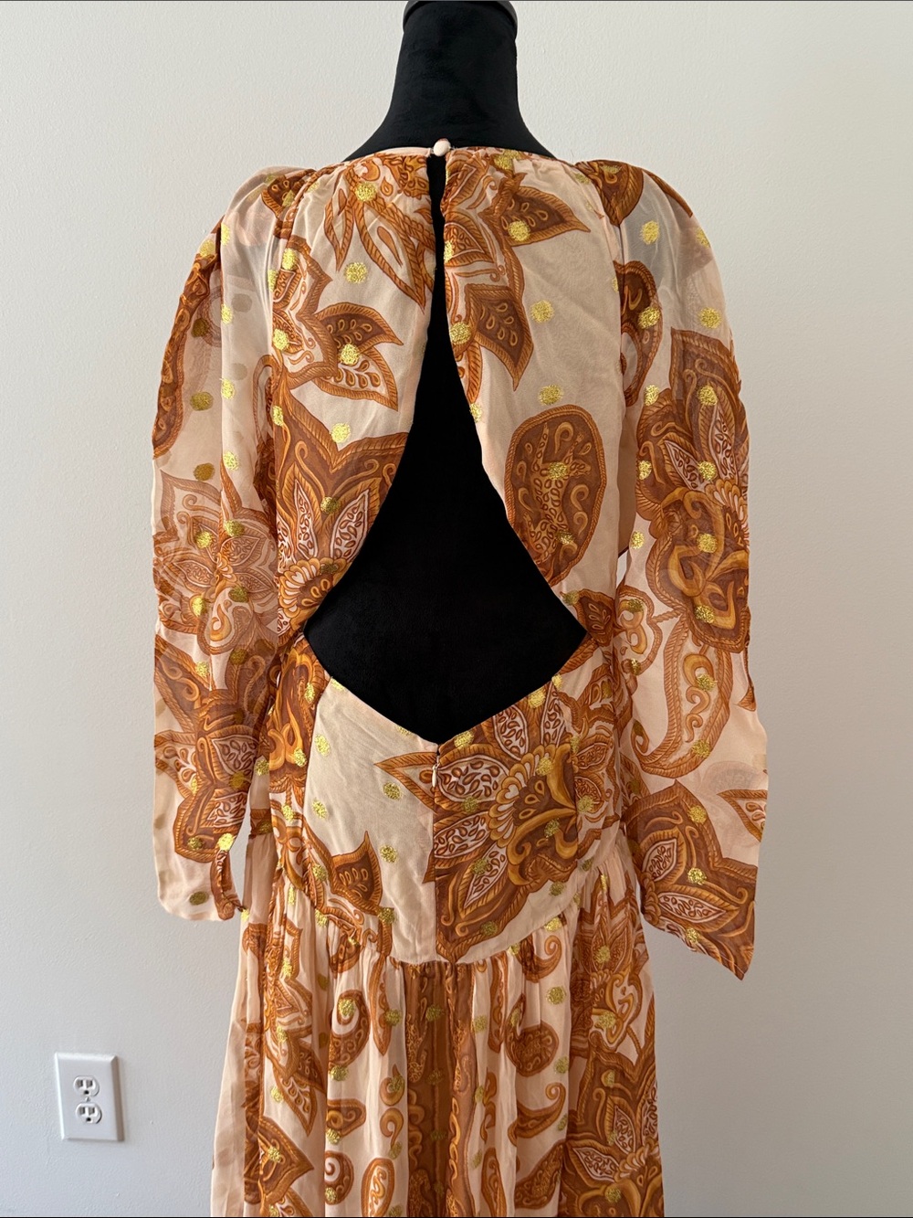 FARM Rio Cream and Brown Paisley Maxi Dress - Picture 7 of 7